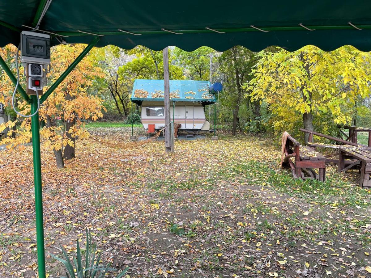 Tisza-Beach Wild Camping 5 セゲド エクステリア 写真
