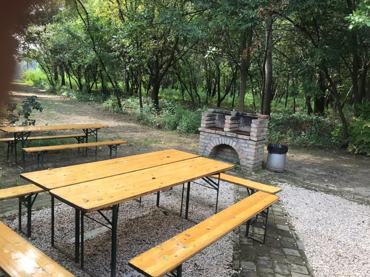 Tisza-Beach Wild Camping 5 セゲド エクステリア 写真