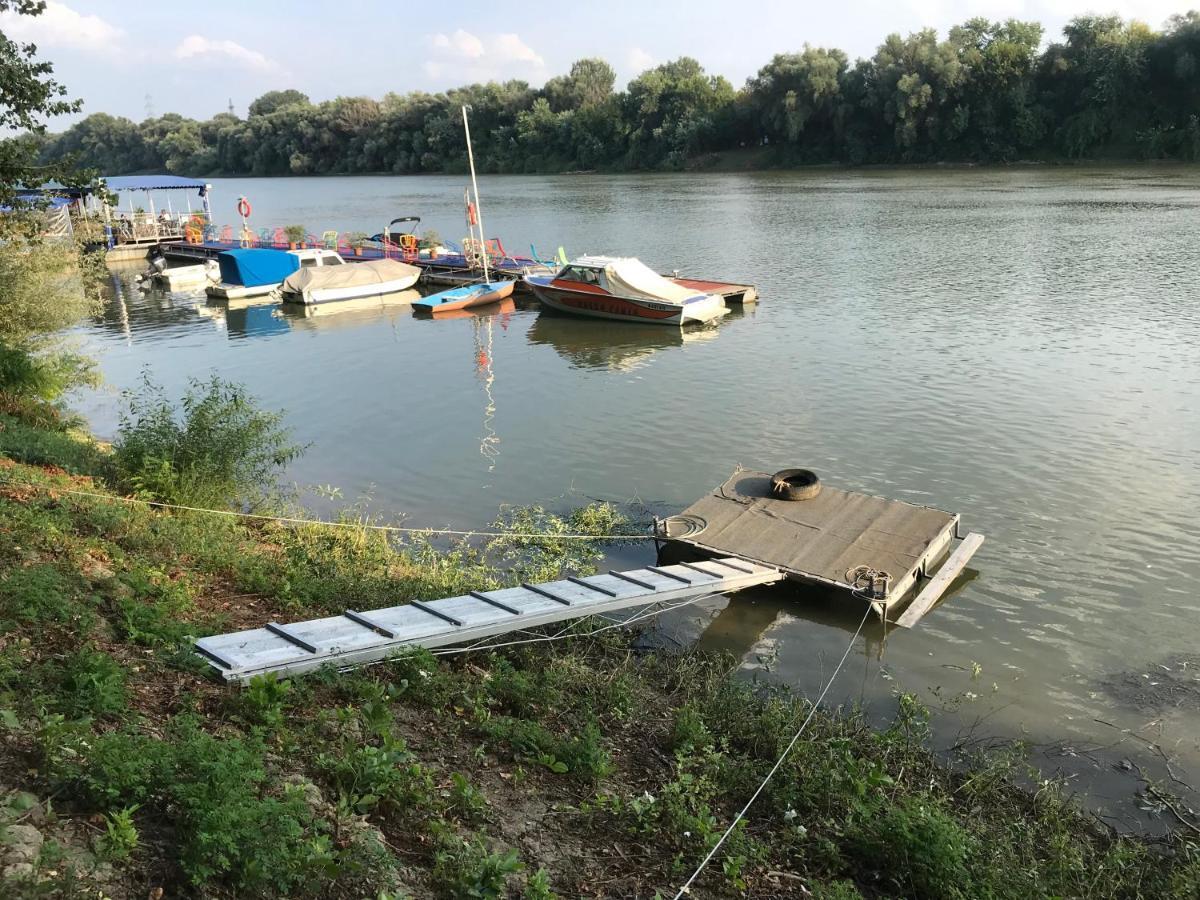 Tisza-Beach Wild Camping 5 セゲド エクステリア 写真