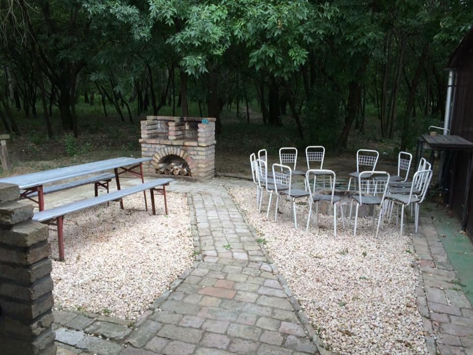 Tisza-Beach Wild Camping 5 セゲド エクステリア 写真