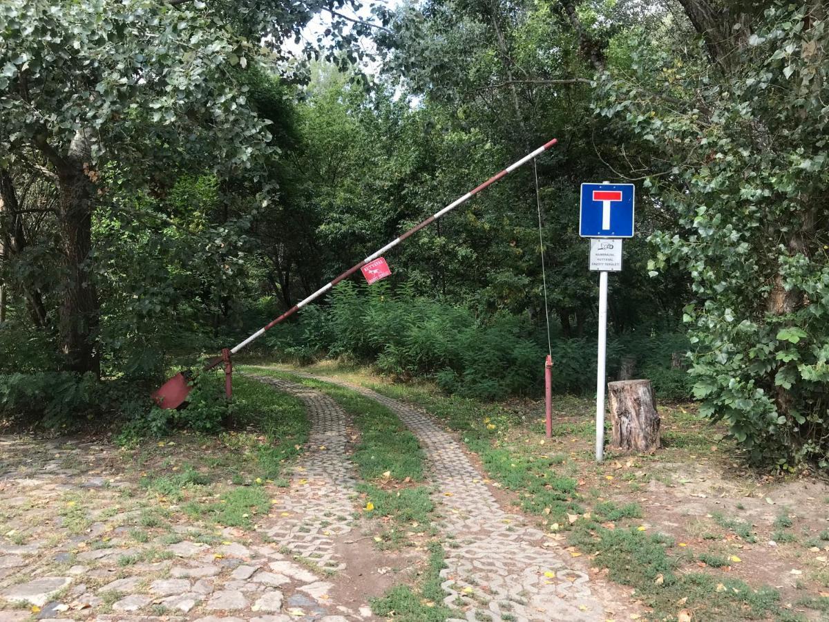 Tisza-Beach Wild Camping 5 セゲド エクステリア 写真